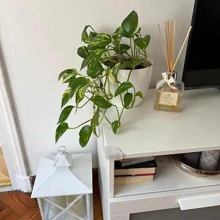 In Piazzetta A Nervi Appartement *